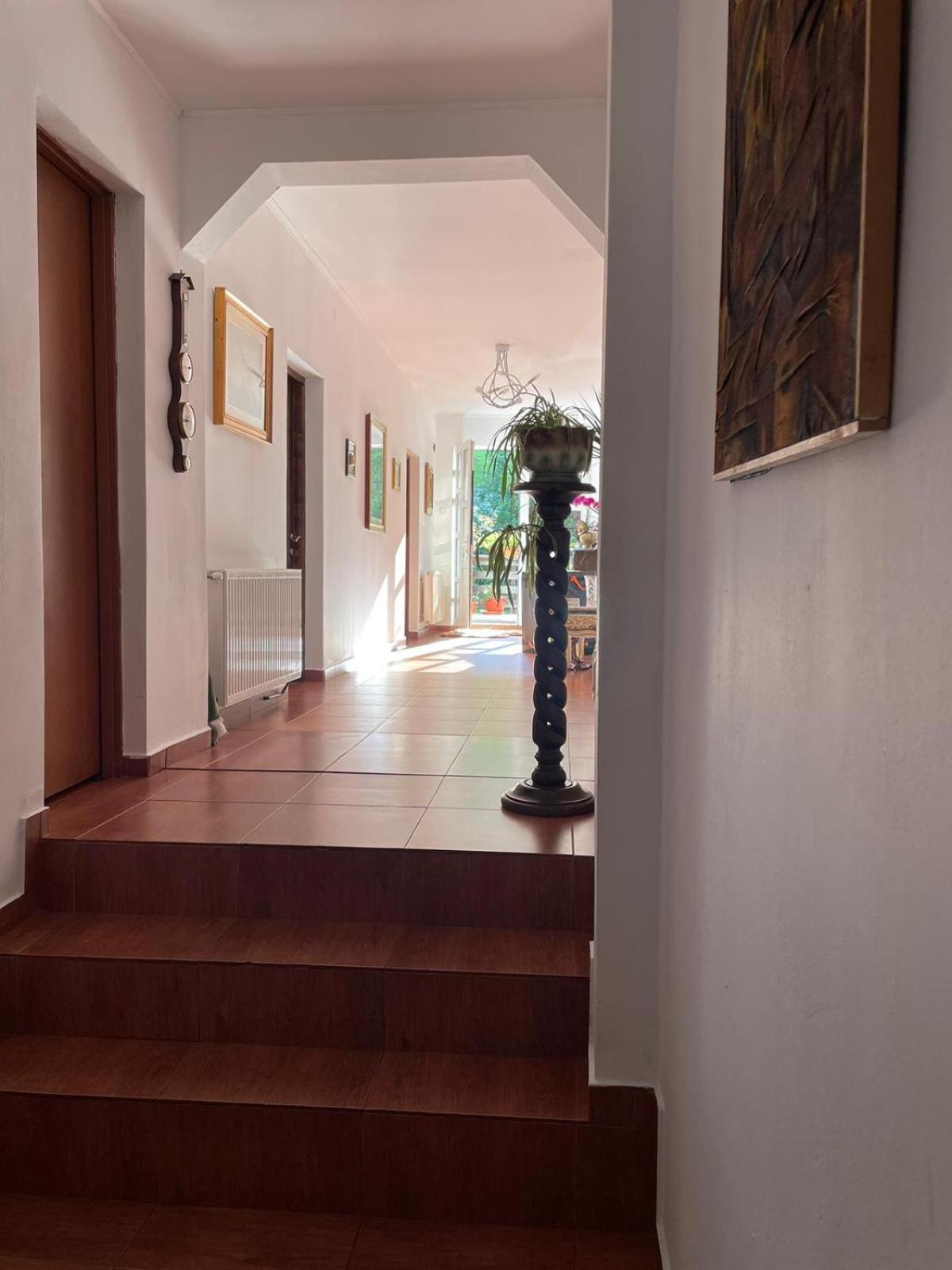 Casa Anastasia - Moieciu De Sus มัวเยชู เด ซุส ภายนอก รูปภาพ