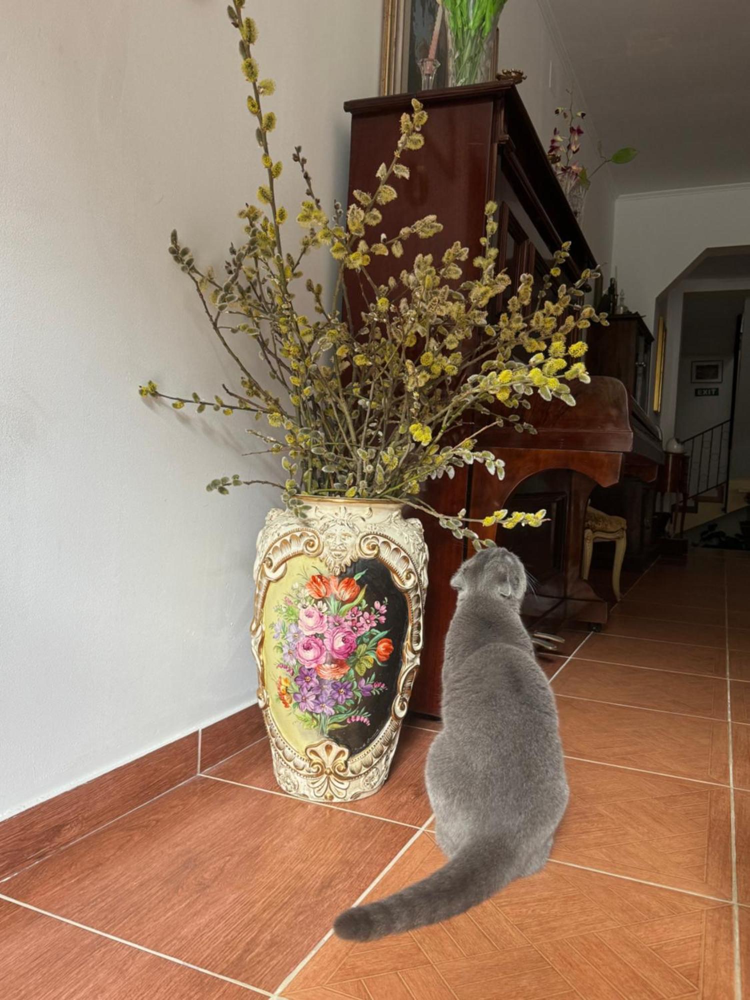Casa Anastasia - Moieciu De Sus มัวเยชู เด ซุส ภายนอก รูปภาพ